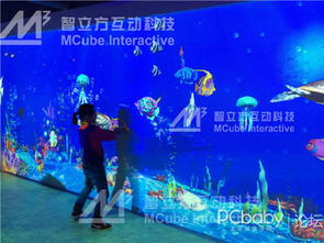 淘气堡迎来全新体验 互动投影游戏上线，玩乐不止于传统
